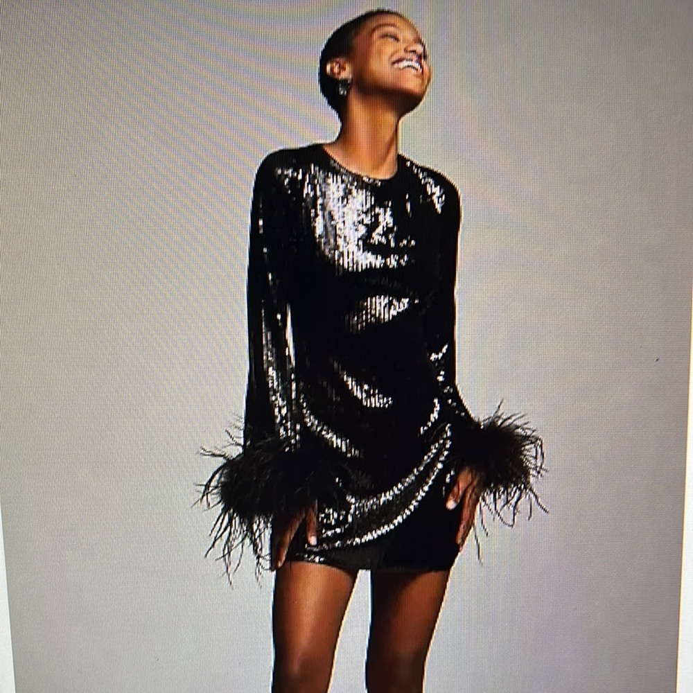Hutch Anthropologie Black Faux Feather Sleeve Sequin Mini Dress Size XS